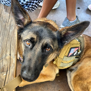 Fundraising Page: Roman Rodriguez